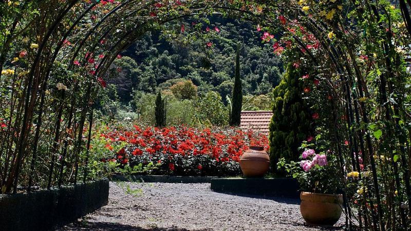 Pestana Quinta Do Arco Nature & Rose Garden Hotel Arco de São Jorge المظهر الخارجي الصورة